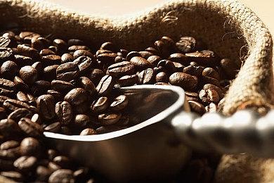 《RuneScape》开发商Jagex正在开发开放世界新作 采用虚幻引擎5